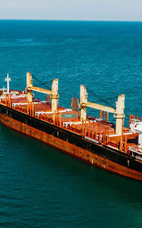philip-import-export-1 philip-import-export-1